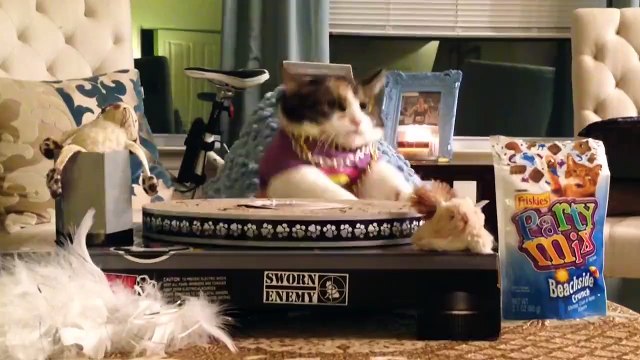 Nos chats sont tarés! Compilation hilarante