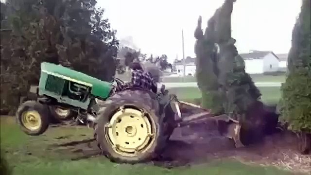 Даже дерево может постоять за себя