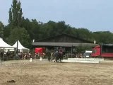 Journées Cheval Baroque Pas de trois