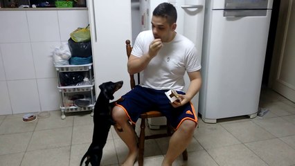 Man fools his Dog to make her take medecine pills!