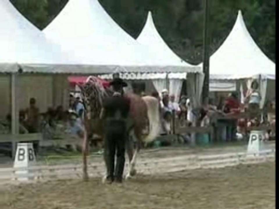 journées Cheval Baroque travail à pied