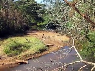 A triste realidade dos Rios Sacramento e Rio Doce