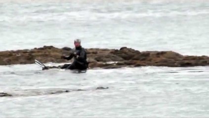 Косатки Дайвер и Собака неожиданная встреча в море