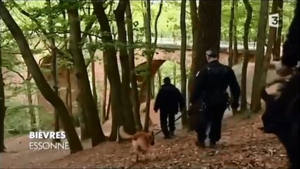 Dans les coulisses de l'entraînement des chiens du RAID