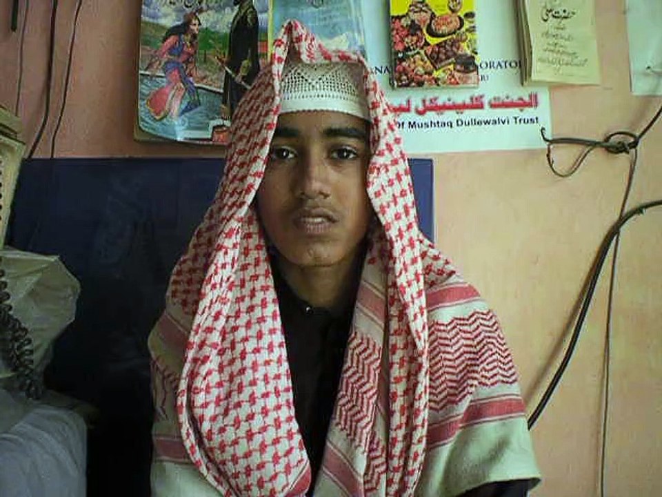 حافظ محمد دانیال شاہین