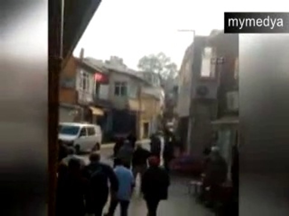 Swine citizens chased