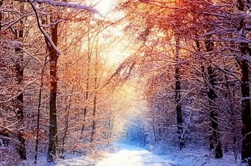 Hamare Nabi ne 11 Shadiyan Kun Ki By Maulana Tariq Jameel