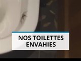Les arraignées envahissent les toilettes australiennes