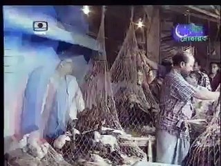 Bengali funny video (Lot of laugh)_Laughing _funny ittadi clips