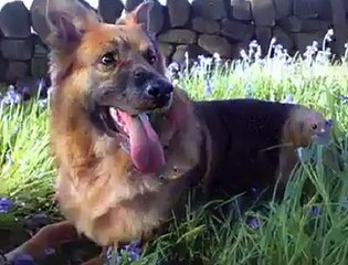 This Will Make You Confused