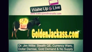 Jim Willie : Stealth QE, Currency Wars, Dollar Demise, Gold Demand but No Supply
