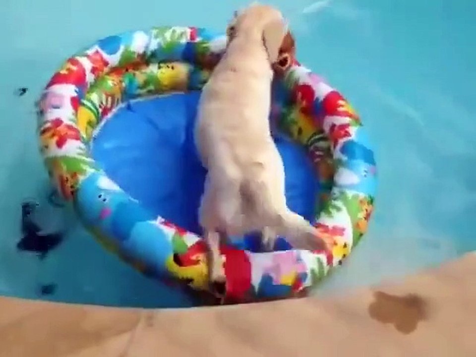 Chilling in Pool