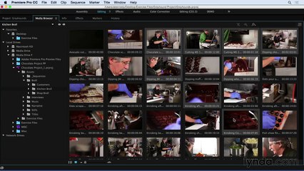 Premiere_Pro_CC_2015_-_3_-_Setting_Up_and_Organizing_Your_Media (1)