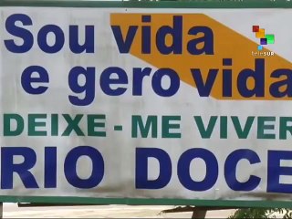 Brazil: Community Tries to Save Aquatic Life after Mining Disaster