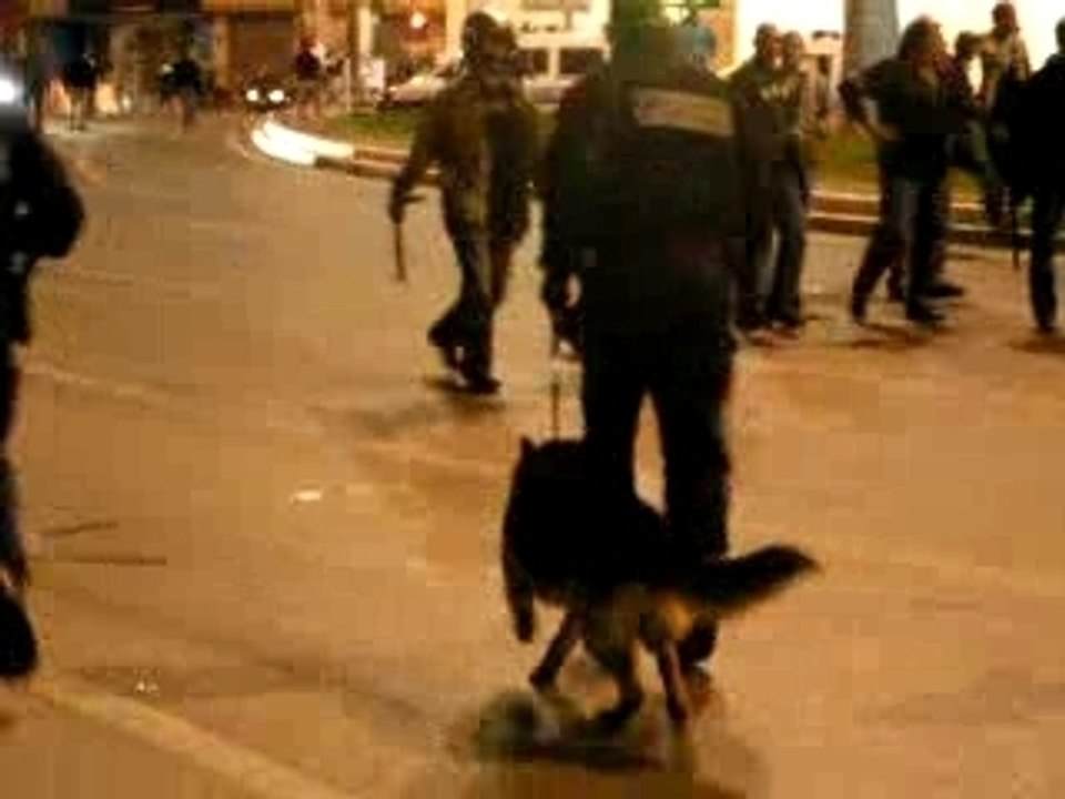 6 MAI 2007 MARSEILLE, NAZI A CHIEN