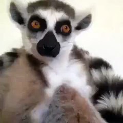 Утро понедельника на работе