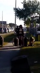 Une Femme Étrange Promène des Hommes en Laisse