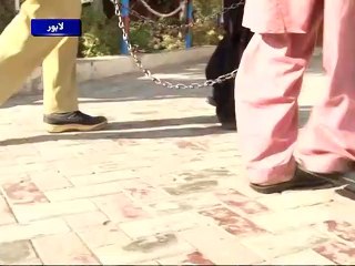 Murder mystery: Two arrested for murder