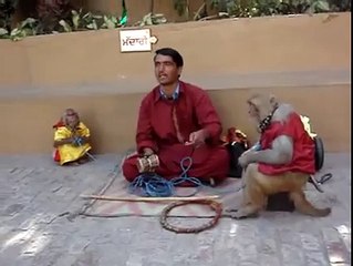 پنجابی مصالحہ