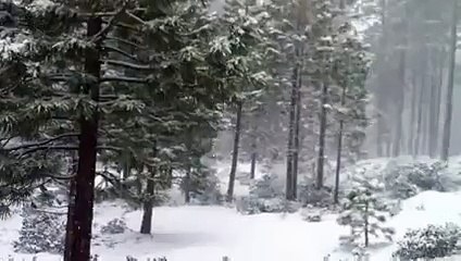 Snow Falling in Murree 2015