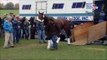 Horse Racing Time: Lexington Breeders Cup