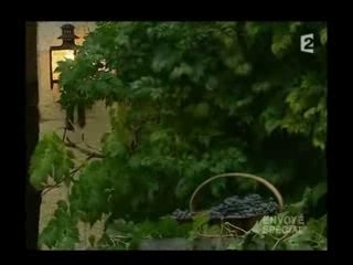 La vie sans toxiques - envoyé spécial