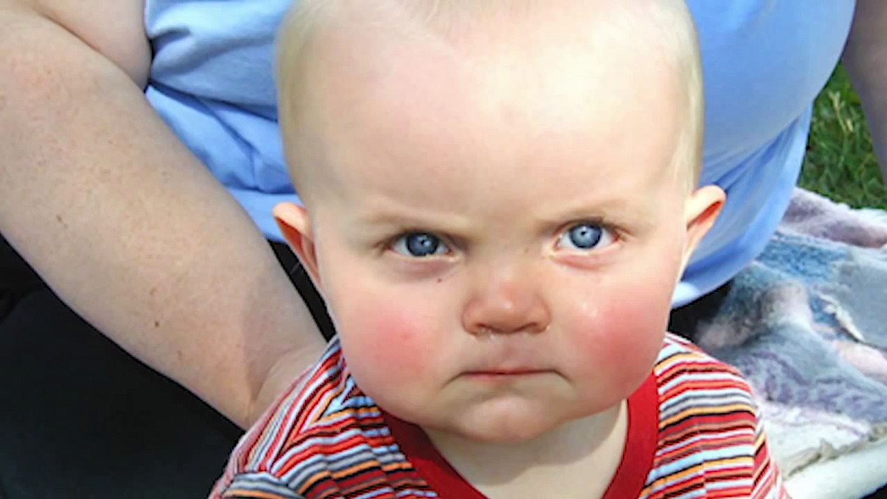 The Angriest Babies In The Whole World