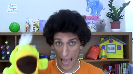 Hickory Dickory.Crash! + More | Our Top Silly Songs for Kids