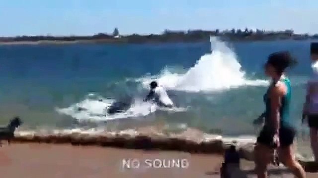 Beached Humpback Whale Pushed Back Out To Sea By Beachgoers In Newcastle