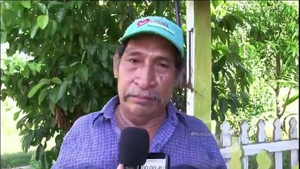 Tigre de bengala escapó de un zoológico en México