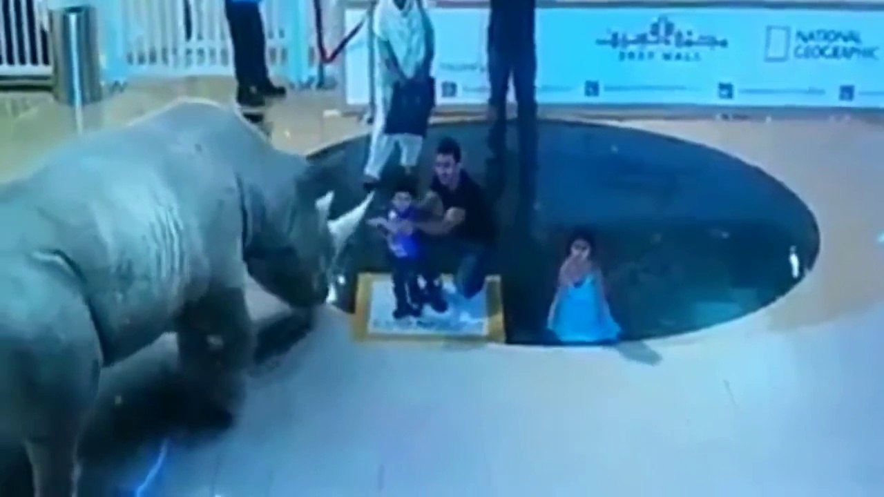 7D Hologram Technology Amazing Show in Dubai ! Must Watch