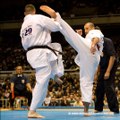 Mawashi Geri de Karate