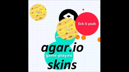 agar.io skins