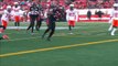 Calgary Stampeders - BC Lions 15.11.15 Part 3