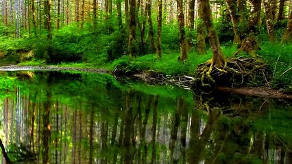 Relax And Sleep Music Earth Is Beautiful Relaxation Music