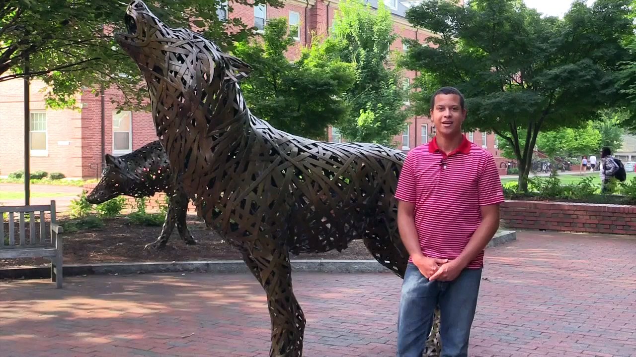 Wolfpack Now with Logan Sims (Week of November 16th, 2015)
