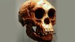 Ancient ‘hobbit’ people evolved from larger species, shrank in the process – study !!