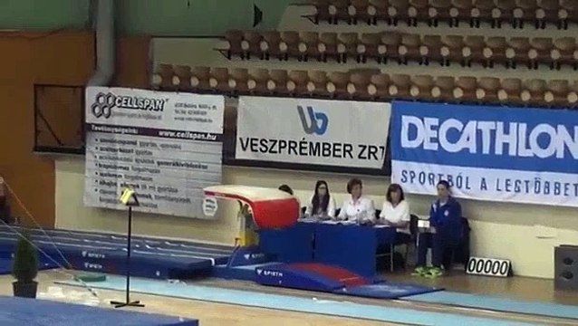 Ekaterina Sokova FX - Hungarian Meet 2014