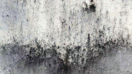 Soot Damage Cleaning Osteen FL 407-218-5862