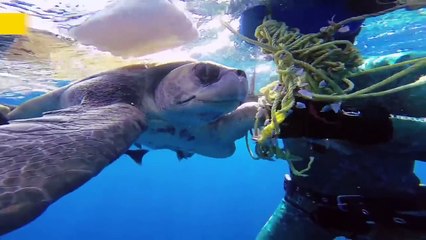 Спасти жизнь — это великое чудо!