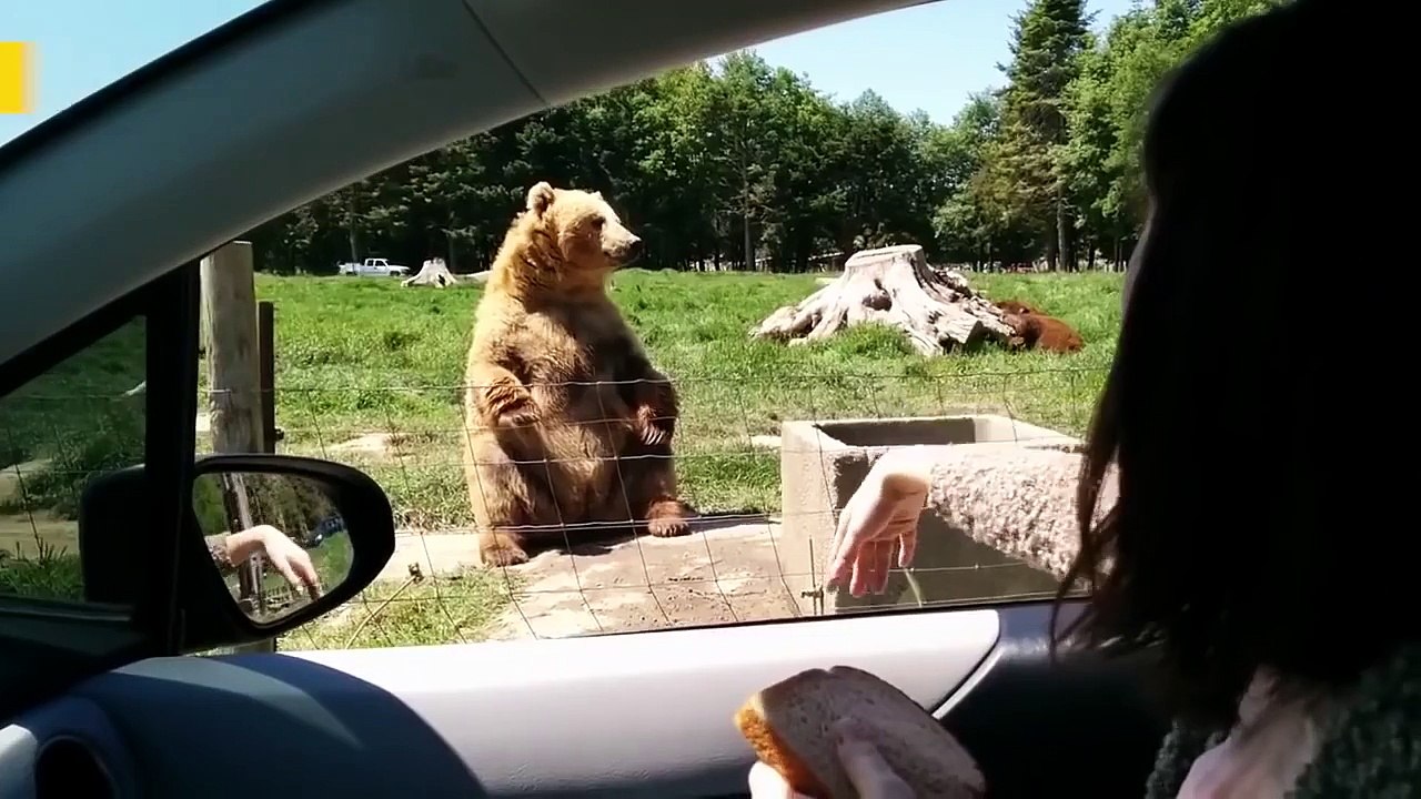 Счастье – это...
