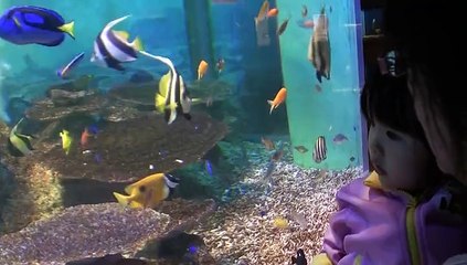 2012/9　ペンギン水族館