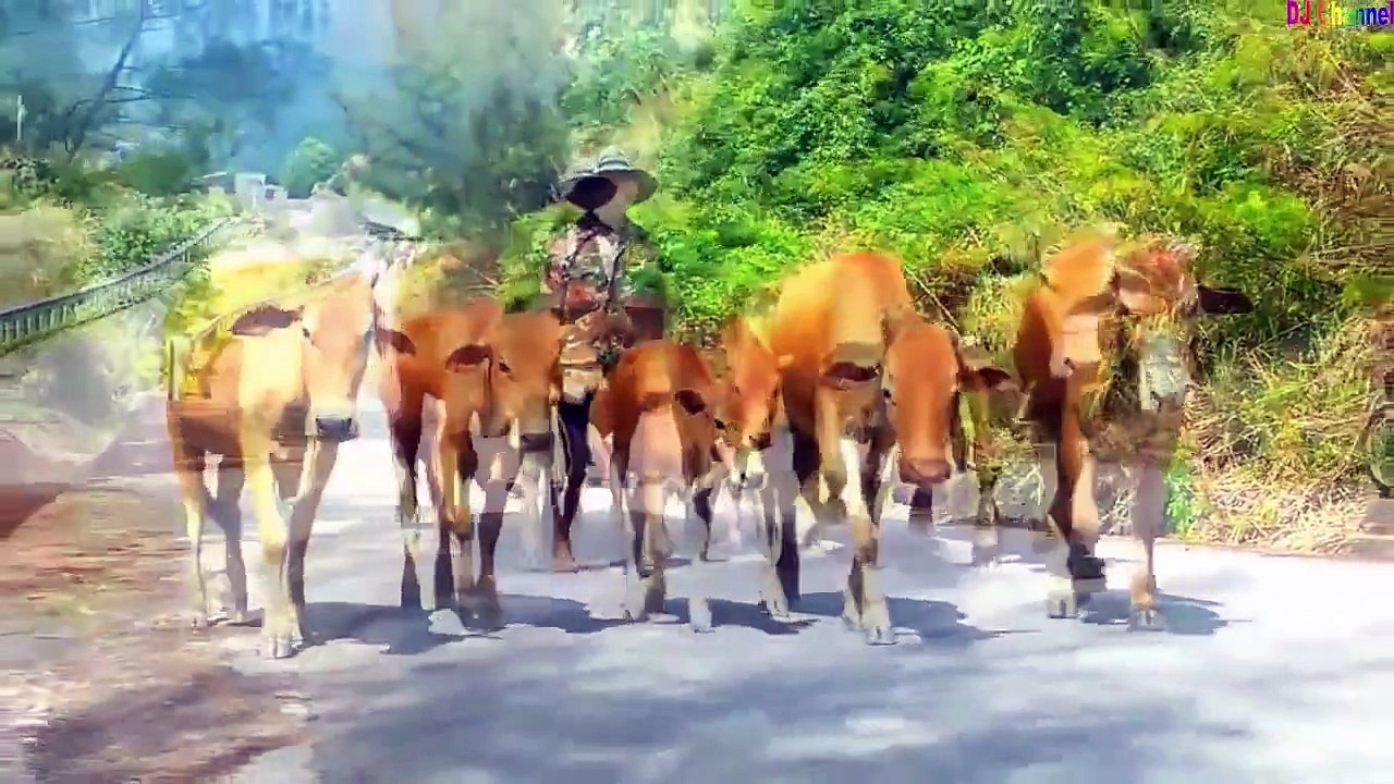 Cả Nhà Thương Nhau ✤ Ba thương Con ✤ Nhạc Thiếu Nhi