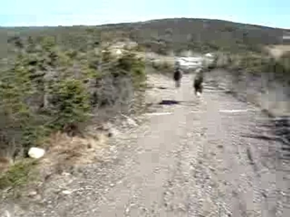 Petite course du 5 mai