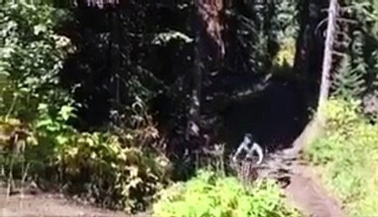VID-20151109-WA0007