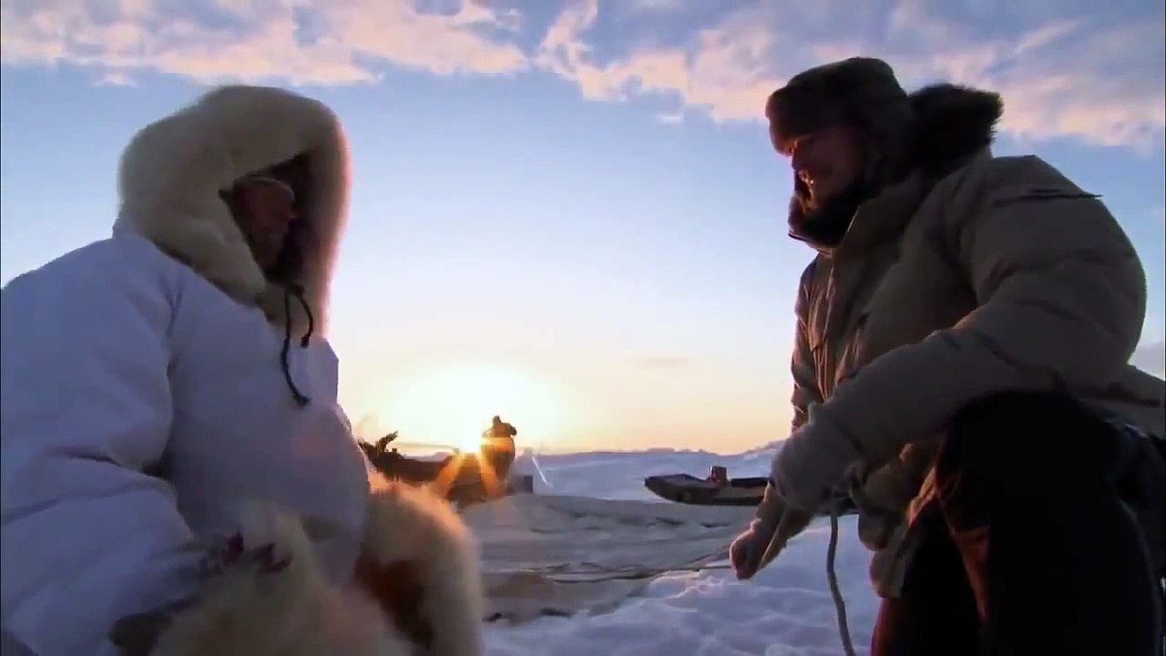 BBC Documentary 2015 Amazing Wildlife of Alaskafull documentary HD