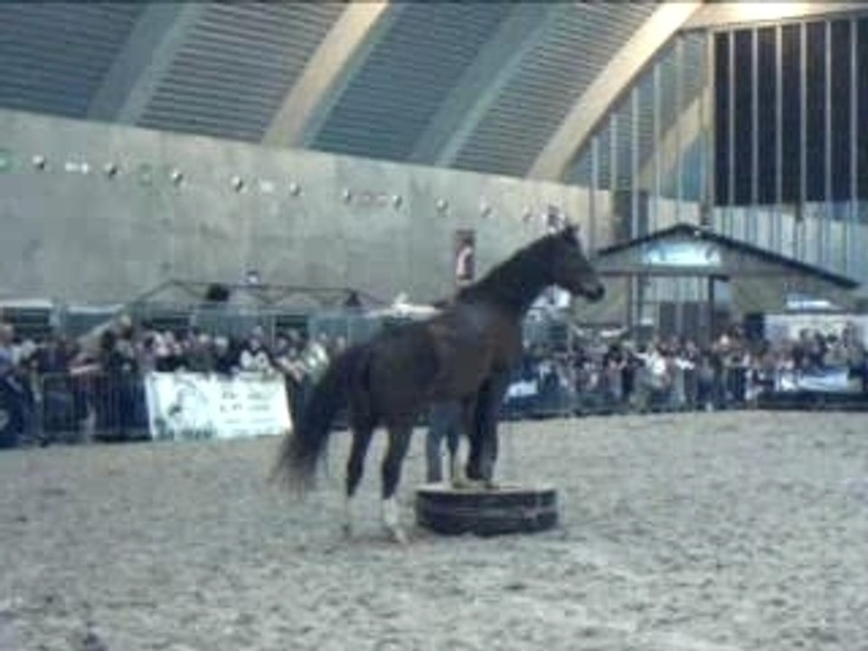 Cheval