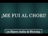 Me fui al chori - Los Mejores Audios de WhatsApp-PiGNkanwqo8