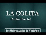 LA COLITA (AUDIO FUERTE) _ LOS MEJORES AUDIOS DE WHATSAPP-S5_q6865nlw