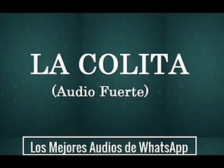 LA COLITA (AUDIO FUERTE) _ LOS MEJORES AUDIOS DE WHATSAPP-S5_q6865nlw